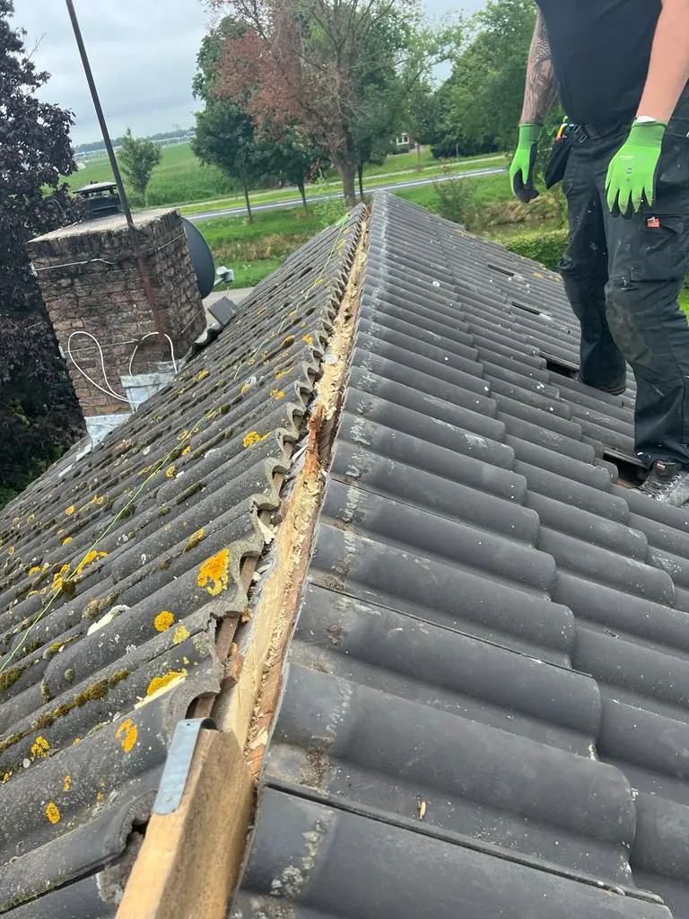 Dakrenovatie vervanging nokvorst door CKW Installatietechniek Moerkapelle